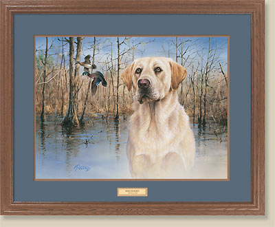 Marsh Memories-Yellow Lab And Ducks by Jim Killen